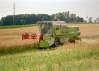 Claas Drescher 31